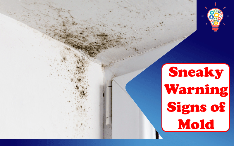 Sneaky Warning Signs of Mold