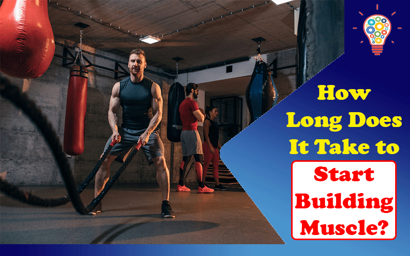 How Long Does It Take to Start Building Muscle