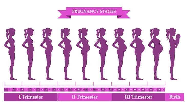 BODY CHANGES DURING PREGNANCY