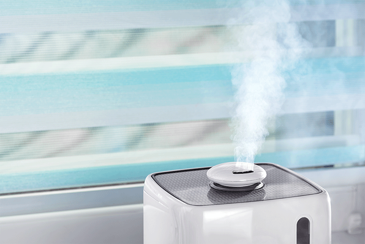 Personal Humidifier