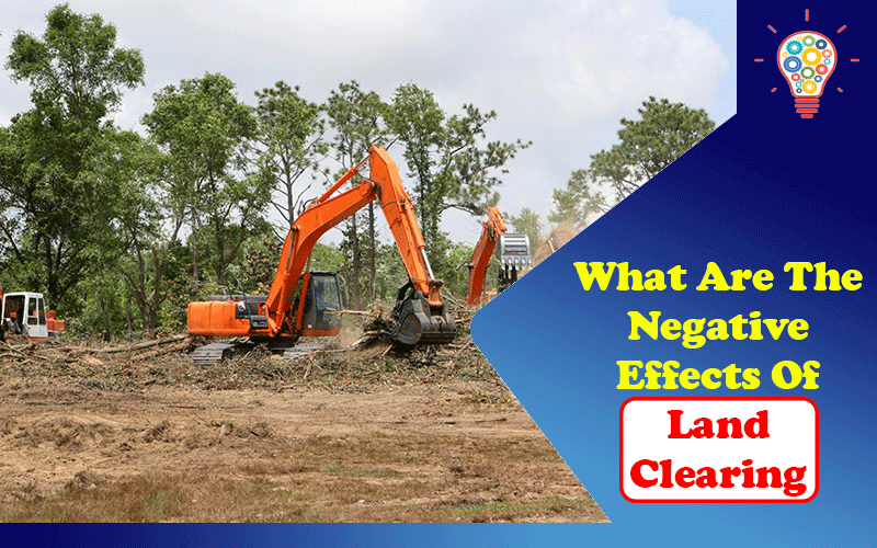What Are The Negative Effects Of Land Clearing? 