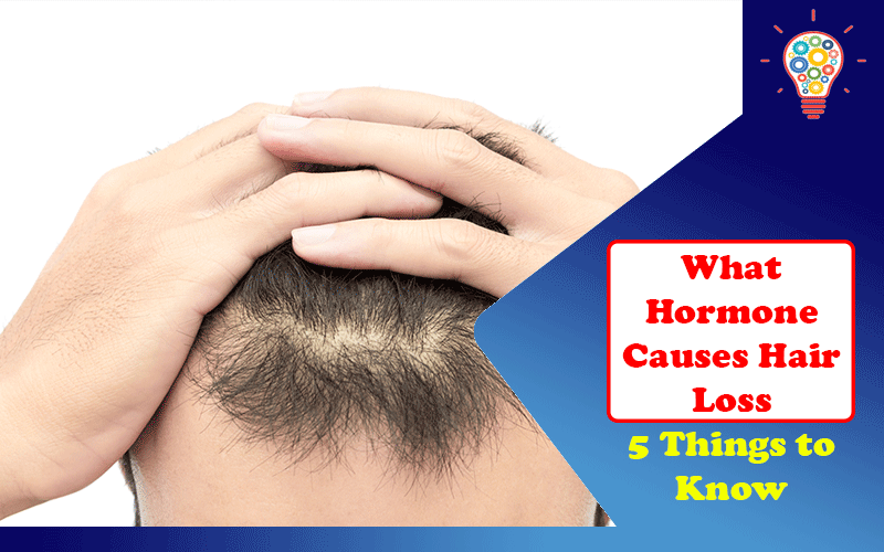 What Hormone Causes Hair Loss?