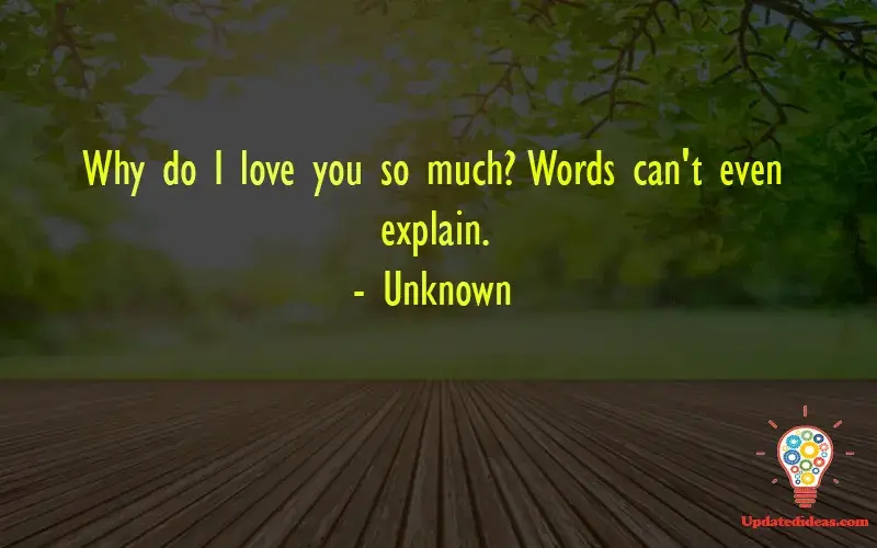 Words Can't Describe How Much I Love You Quotes