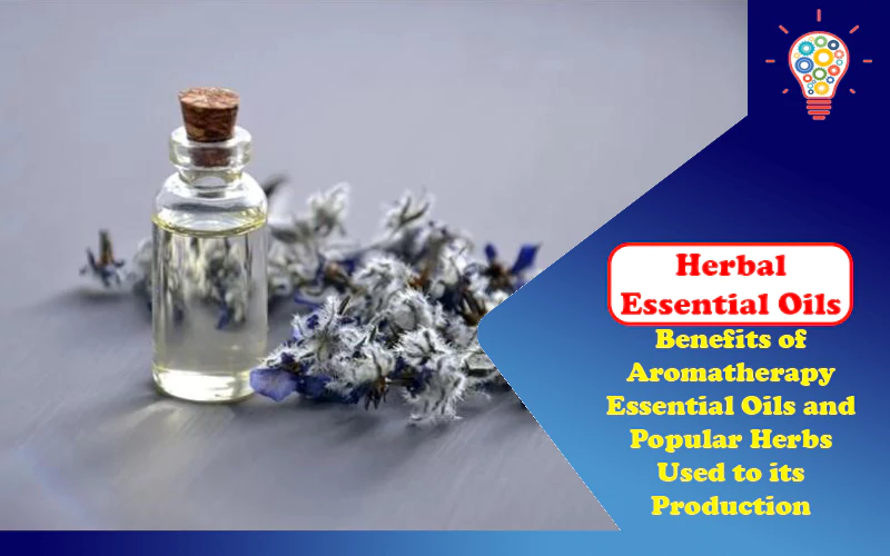 Herbal Essential Oils