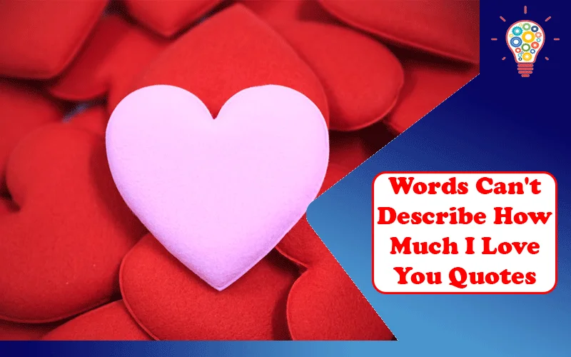 Words Cant Describe How Much I Love You Quotes Updated Ideas