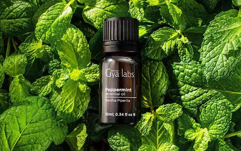 Peppermint Oil