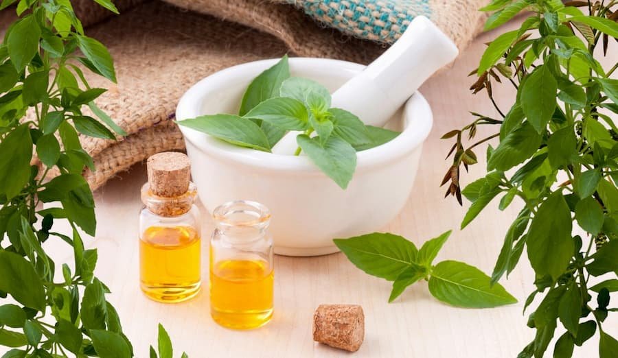 Top 10 Household Uses Of Peppermint Oil