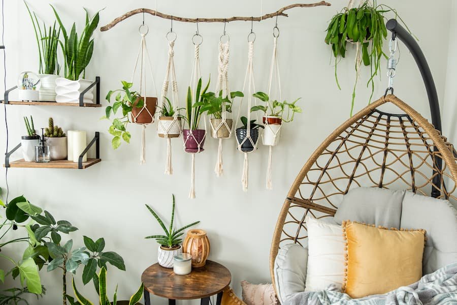 11 Stylish Indoor Hanging Plants To Decorate Your Home