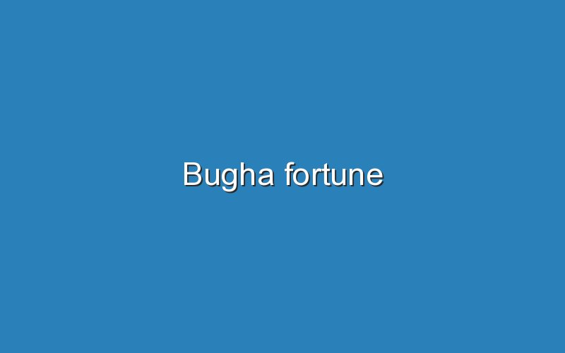 bugha fortune 11596