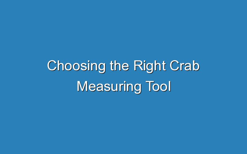 choosing the right crab measuring tool 17846