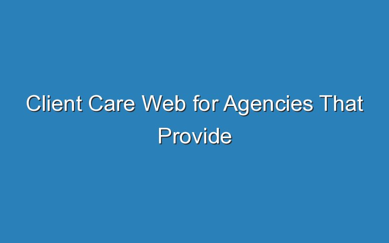 client care web for agencies that provide services to people with disabilities 18441