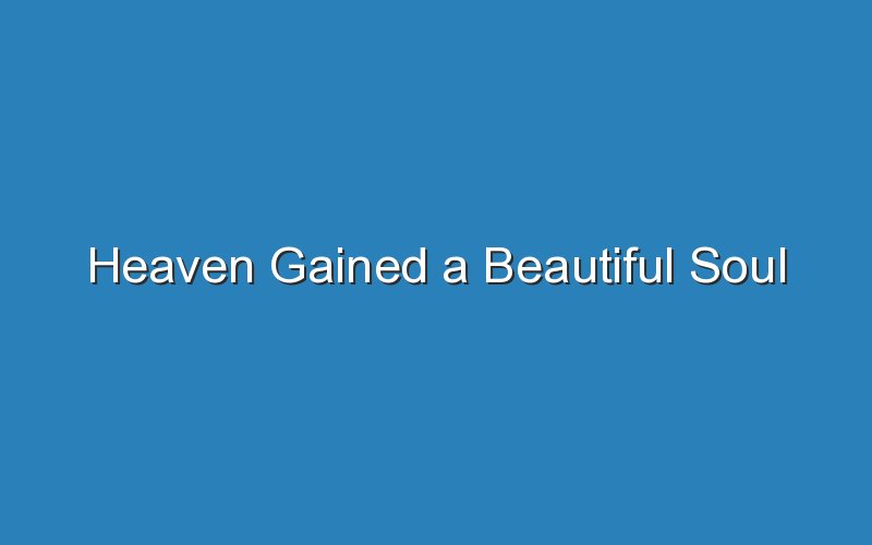 heaven gained a beautiful soul 16745
