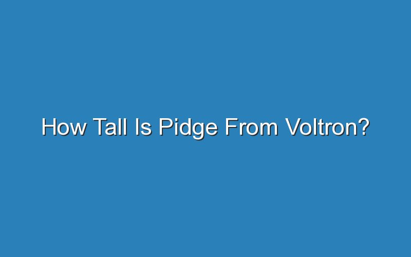 how tall is pidge from voltron 15502