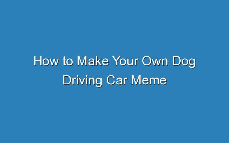 how to make your own dog driving car meme 18967