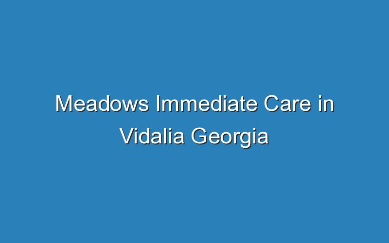 meadows immediate care in vidalia georgia 19046