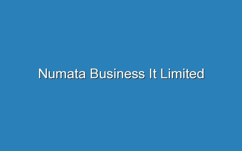 numata business it limited 15762