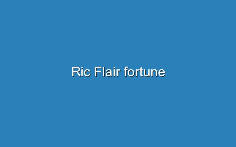 ric flair fortune 12578