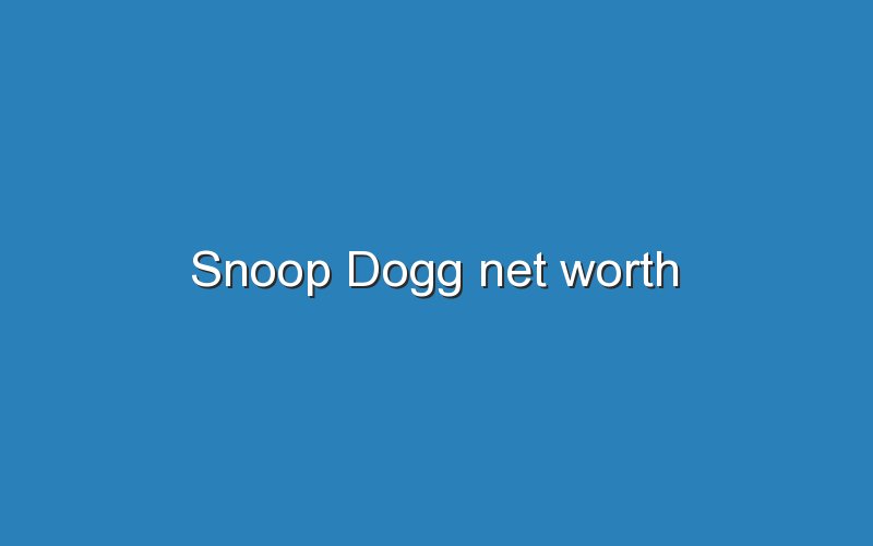 snoop dogg net worth 12286