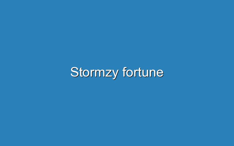 stormzy fortune 12719