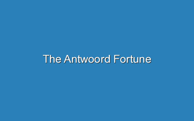 the antwoord fortune 12809