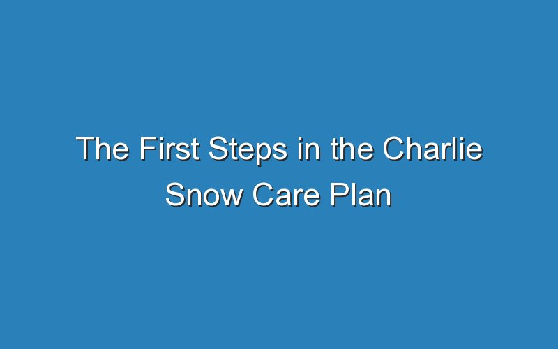 the first steps in the charlie snow care plan 18633