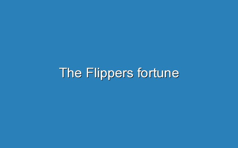 the flippers fortune 11573