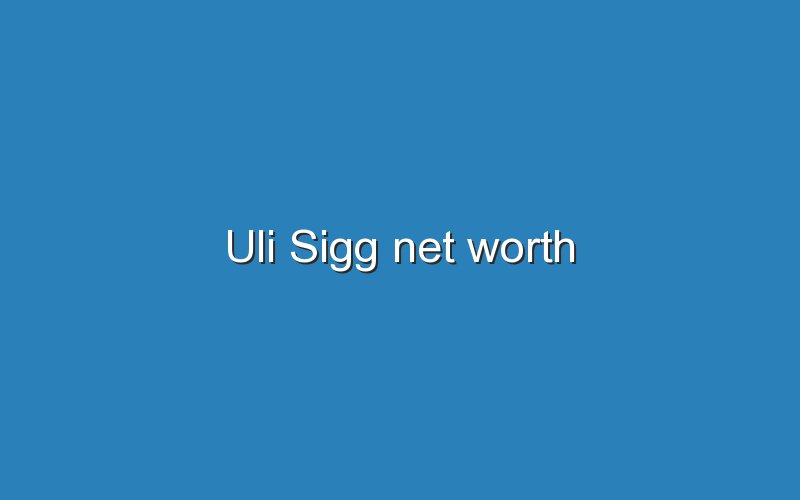 uli sigg net worth 12833