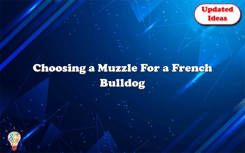 choosing a muzzle for a french bulldog 39049