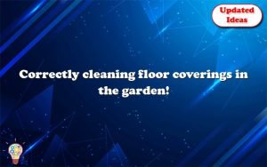correctly cleaning floor coverings in the garden 12899