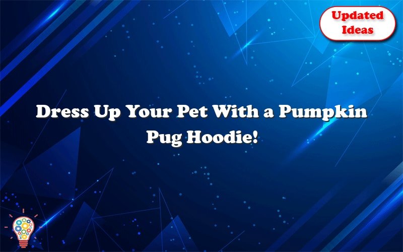 dress up your pet with a pumpkin pug hoodie 41015