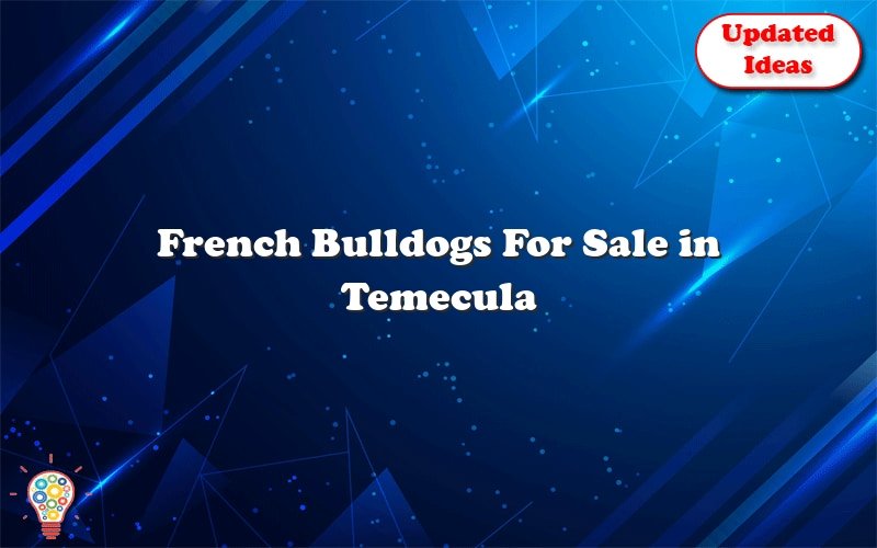 french bulldogs for sale in temecula 39798