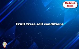 fruit trees soil conditions 13024