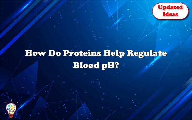 how do proteins help regulate blood ph 39161