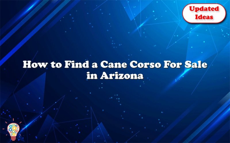 how to find a cane corso for sale in arizona 40739