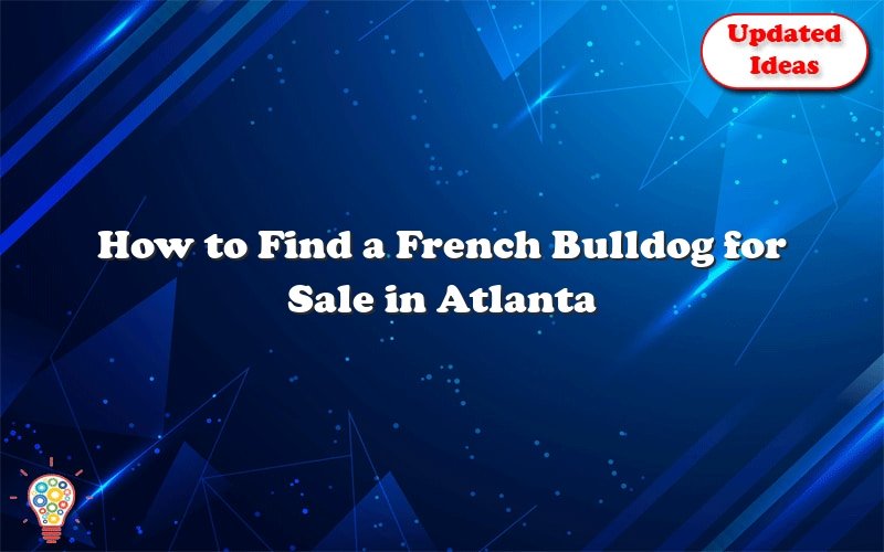 how to find a french bulldog for sale in atlanta 40940