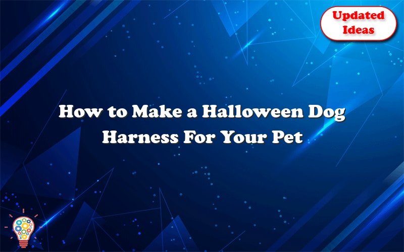 how to make a halloween dog harness for your pet 41669