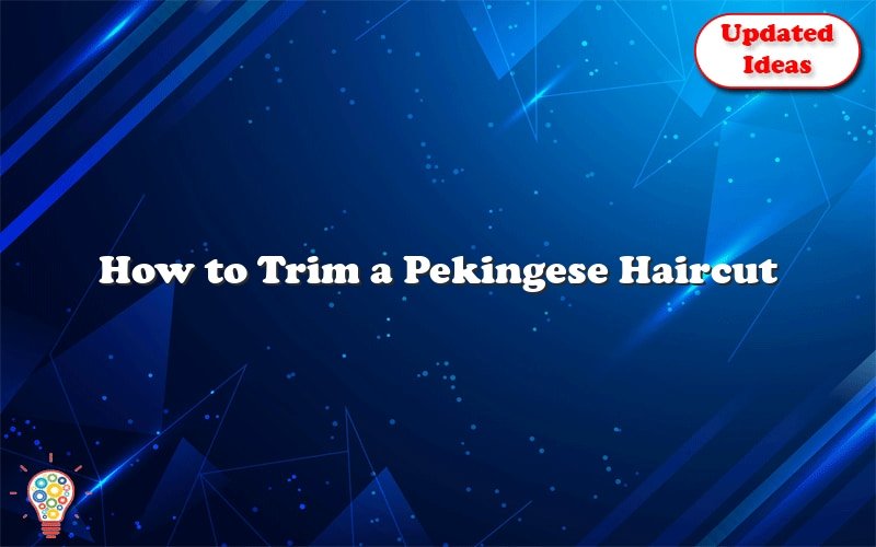 how to trim a pekingese haircut 41302