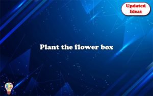 plant the flower box 12685