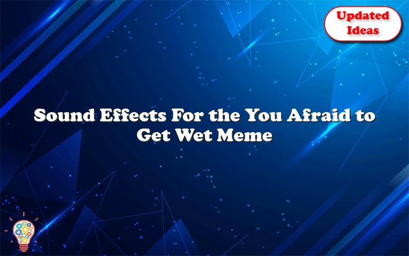 sound effects for the you afraid to get wet meme 41396