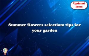 summer flowers selection tips for your garden 13012