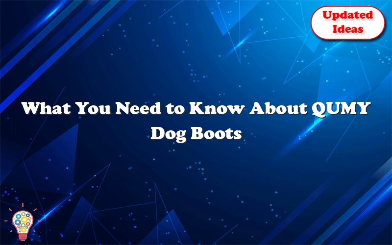 what you need to know about qumy dog boots 39989