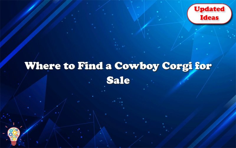 where to find a cowboy corgi for sale 39687