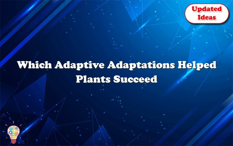 which adaptive adaptations helped plants succeed and spread on land 36016