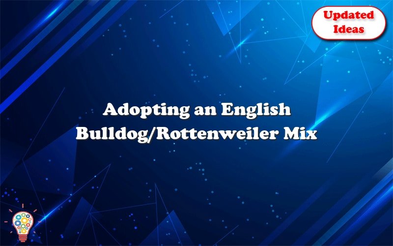 adopting an english bulldog rottenweiler
