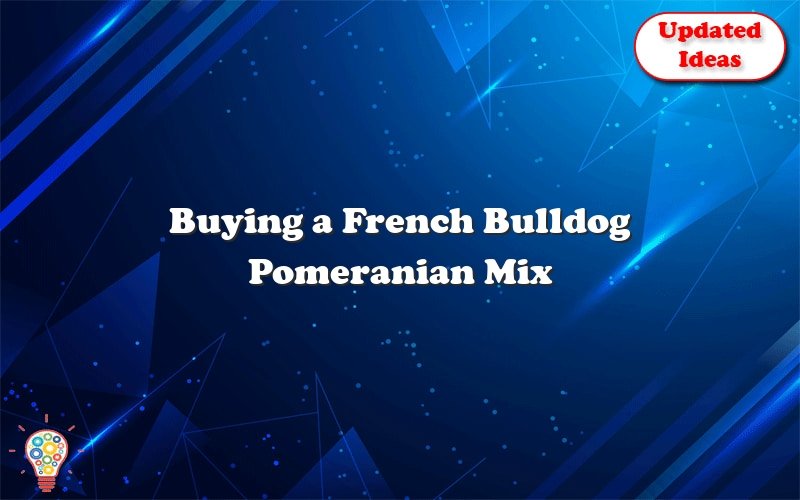 buying a french bulldog pomeranian