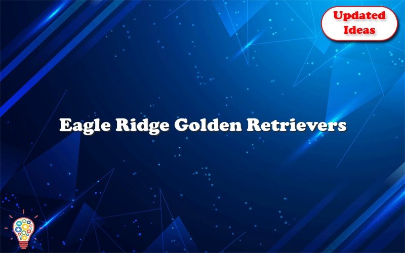 eagle ridge golden retrievers 42946