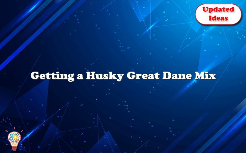 getting a husky great dane