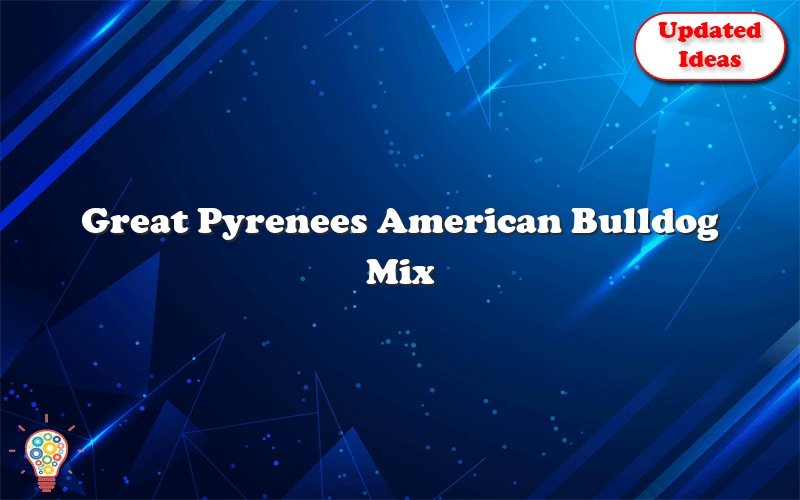 great pyrenees american bulldog