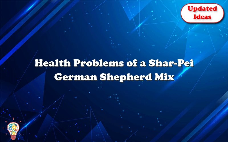 health problems of a shar pei german shepherd