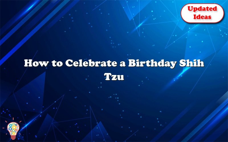 how to celebrate a birthday shih tzu 42505